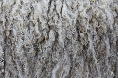 Natural insulation: sheep skin - wool texture
