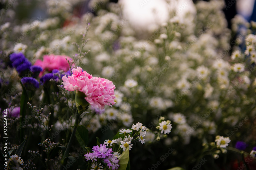 Fototapeta premium pink and purple flowers for wedding theme
