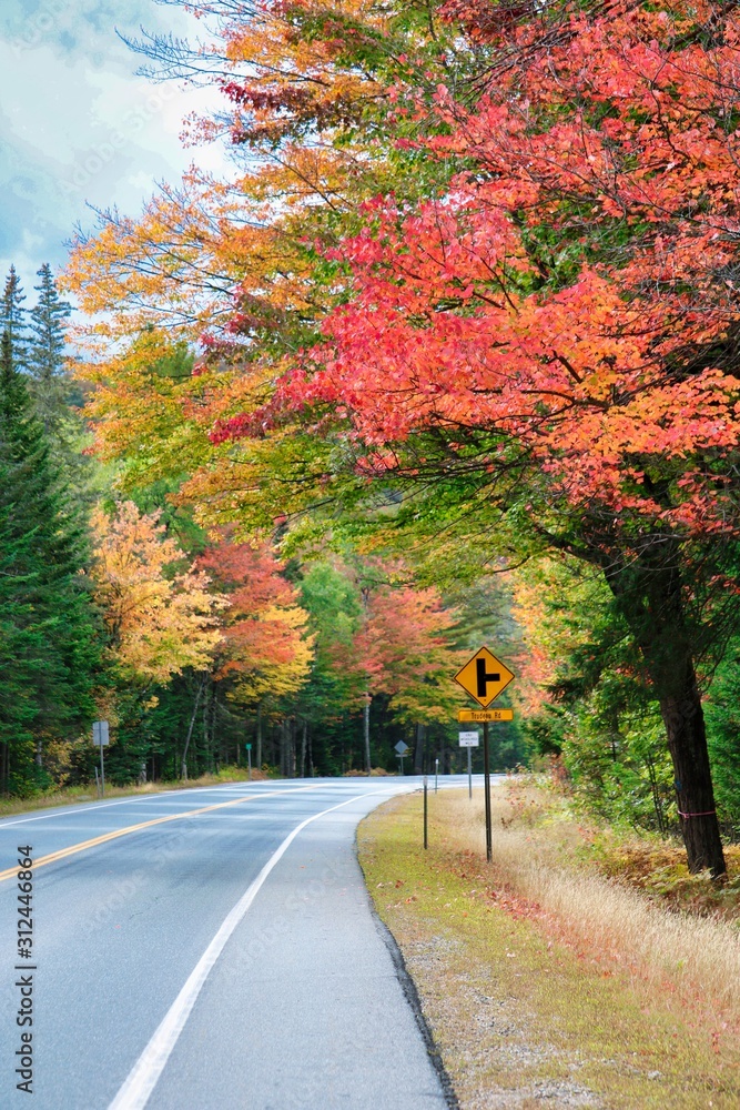 Obraz premium Road in White Mountain