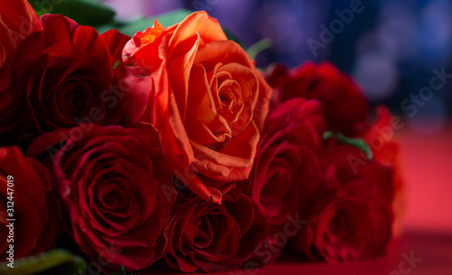 Red roses on a bright background  a holiday and a gift to women and girls. Valentine s day