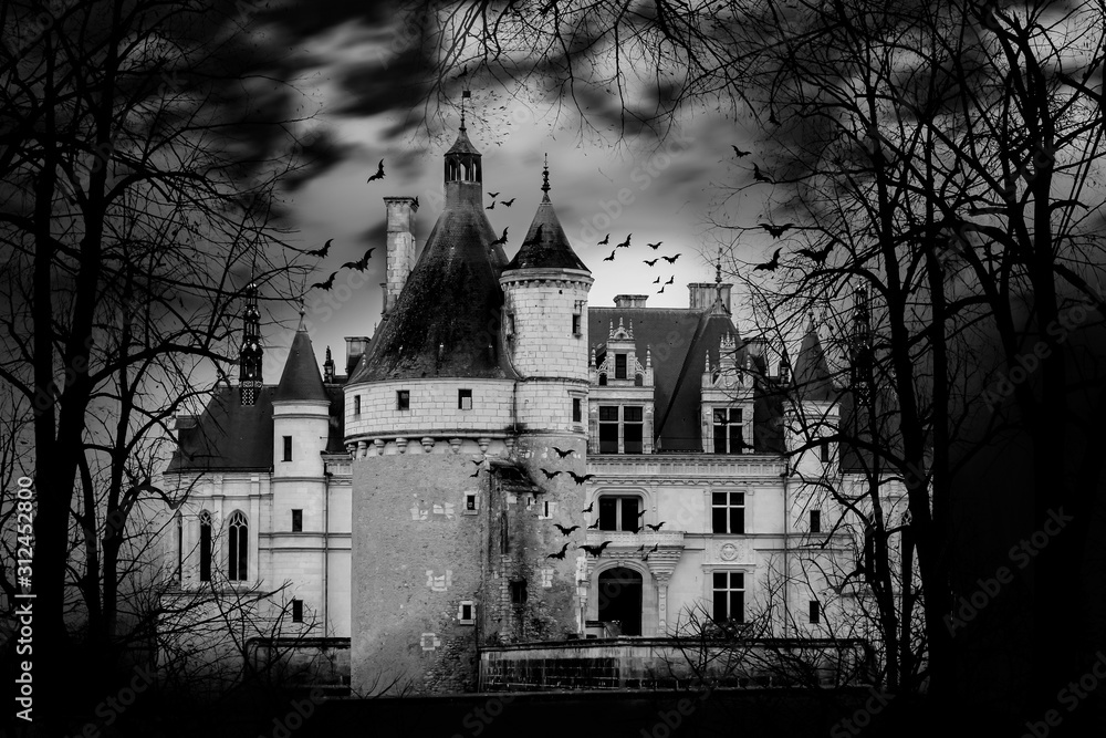 Obraz premium Haunted house Black and White Photography