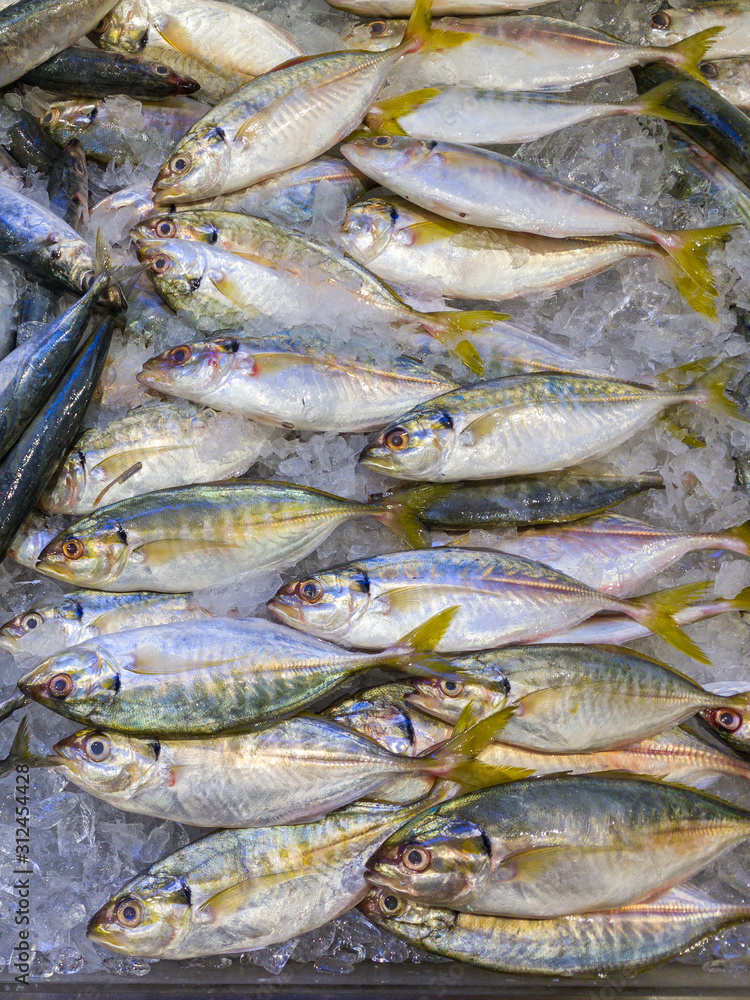 Pile of fresh fish on frozen ice in seafood market Pile of fresh fish on frozen ice in seafood market