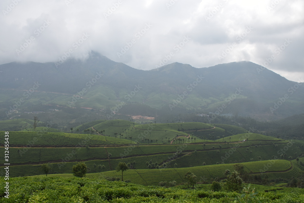 Obraz premium MUNNAR_DAYS