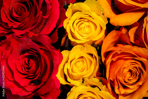 Red Yellow Orange Roses