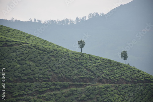 view of rural landscape