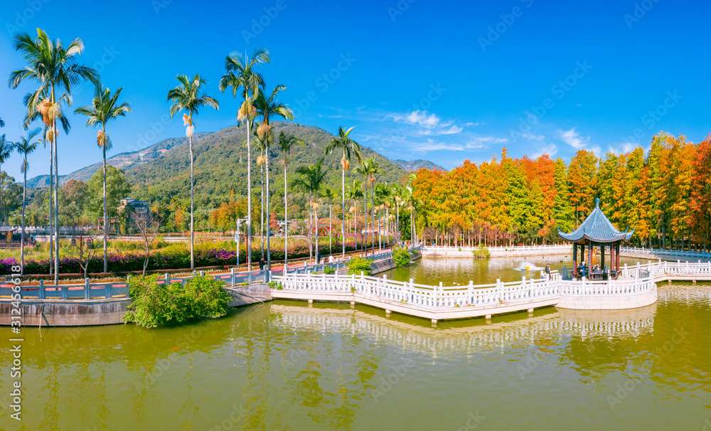 Fototapeta premium The scenery of fuzhou national forest park, fujian province, China