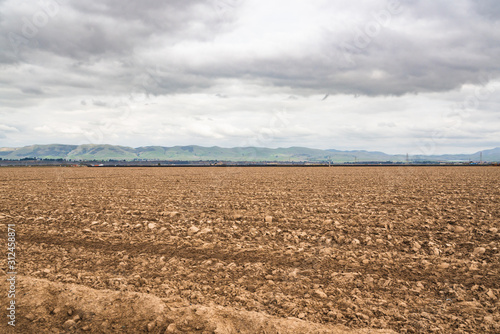 Agricultural field, stage of preparation for sowing of crops