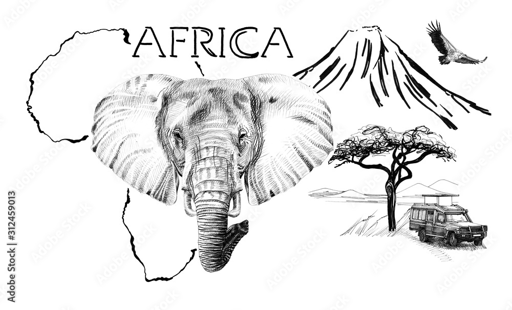 Fototapeta Elephant portrait on Africa map background with Kilimanjaro mountain, vulture and car