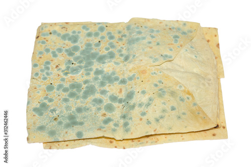 Mold mushrooms on bread for quick cooking photo