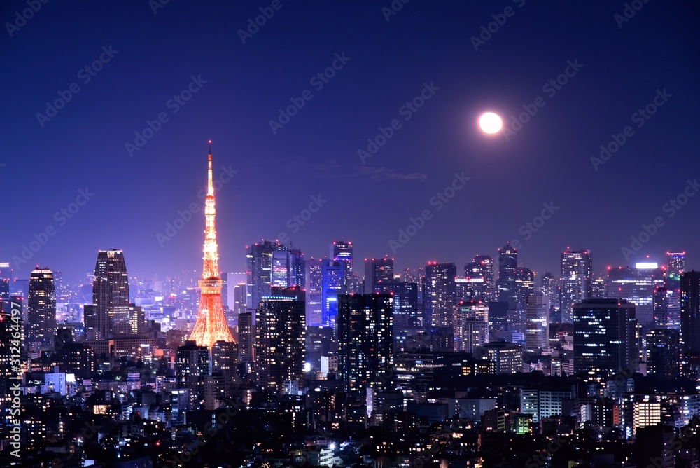 Fototapeta premium Wgląd nocy Tokio