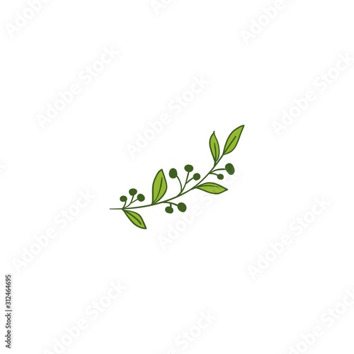 ornaments flower Collection. Set of cute retro leaf arranged un a shape of the wreath for wedding invitations and birthday cards