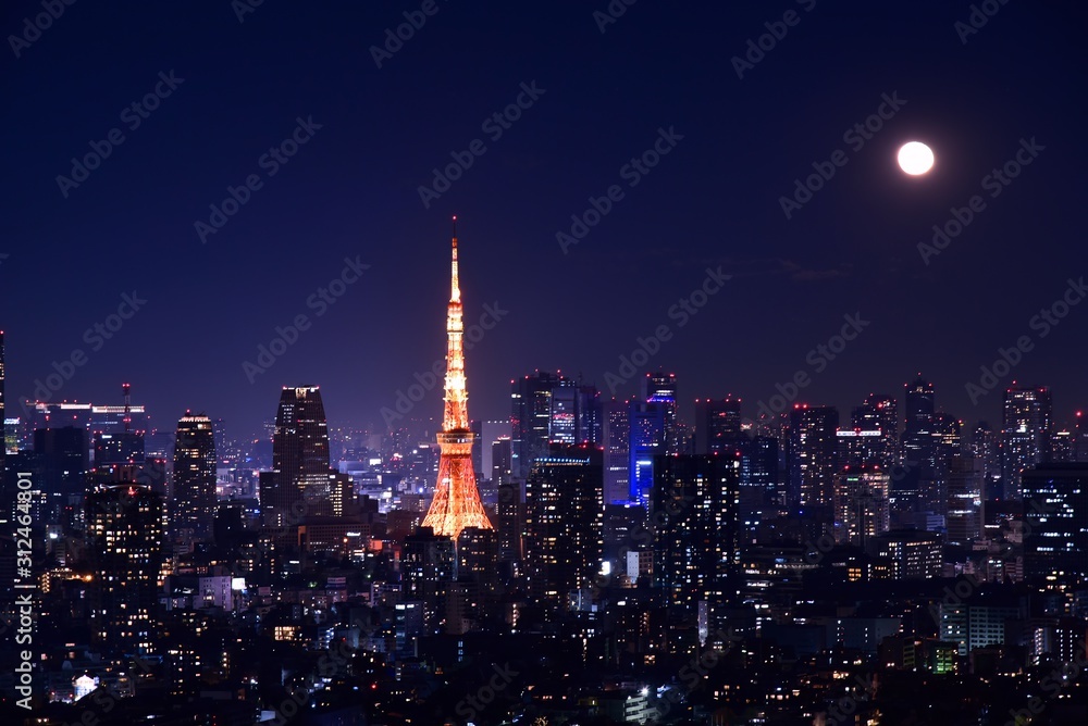 Fototapeta premium 東京の夜景
