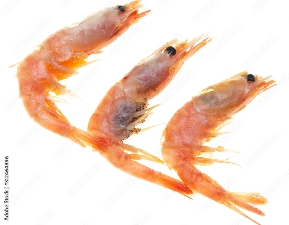 shrimp with caviar on a white background shrimp with caviar on a white background