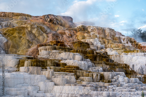 The landscape nature around Mammoth hot springs in Yellowstone national park in Wyoming , United States of America