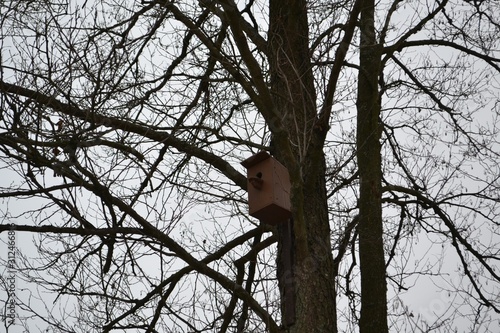 bird on tree