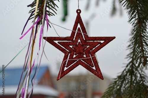 christmas star on a tree