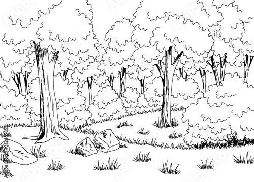 Forest glade graphic black white landscape sketch illustration vector
