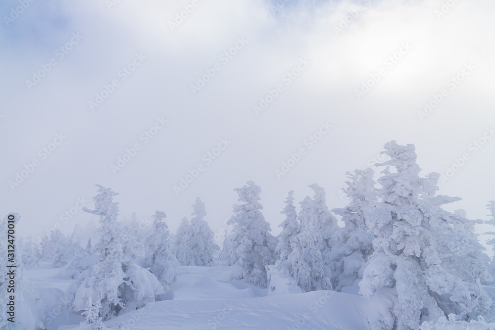 Towada Hachimantai National Park in winter Towada Hachimantai National Park in winter
