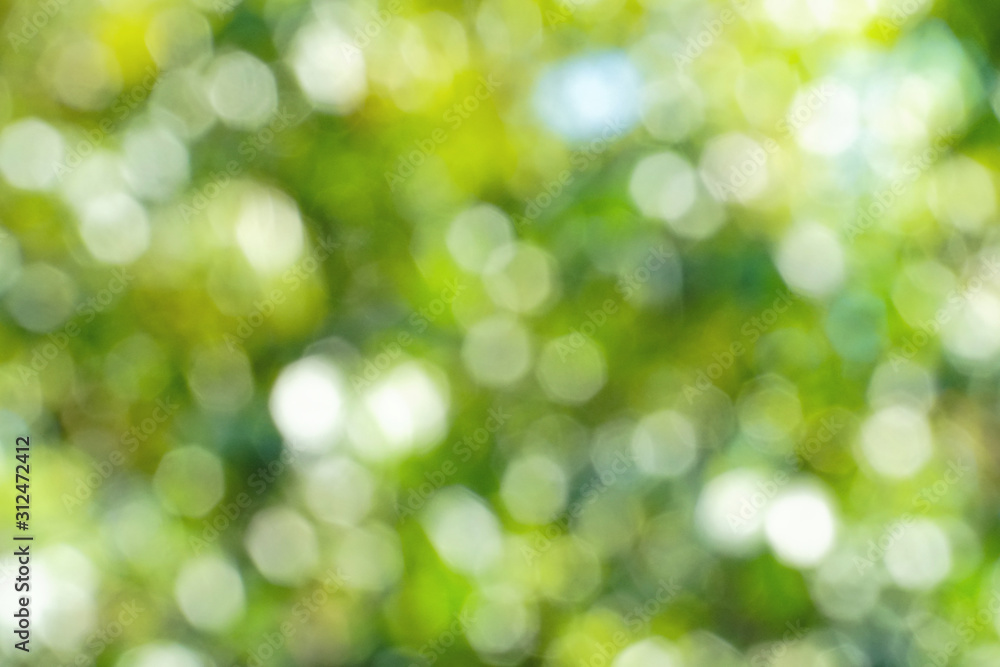 Obraz premium abstract green background with bokeh