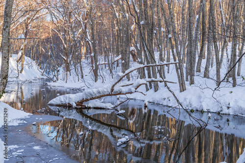 Towada Hachimantai National Park in winter