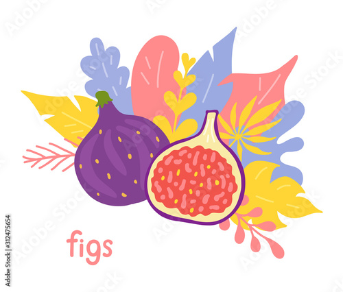 Figs on the background of bright tropical foliage. Hand-drawn composition with whole and half purple figs isolated on white background. Vector banner in doodle style.