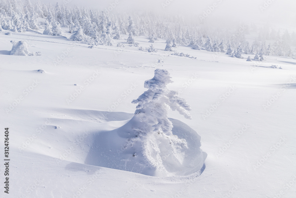 Towada Hachimantai National Park in winter