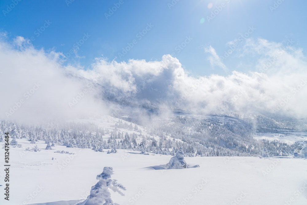 Fototapeta premium Towada Hachimantai National Park in winter