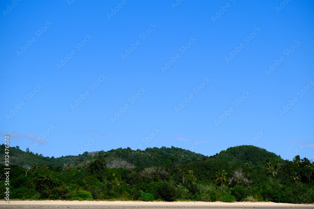 Beach with a Tree Line Against Blue Sky