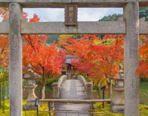 Eikando Zenrinji Temple with red maple leaves or fall foliage in autumn season. Colorful trees, Kyoto, Japan. Nature landscape background. photo