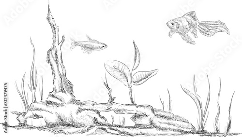 vector - fish tank