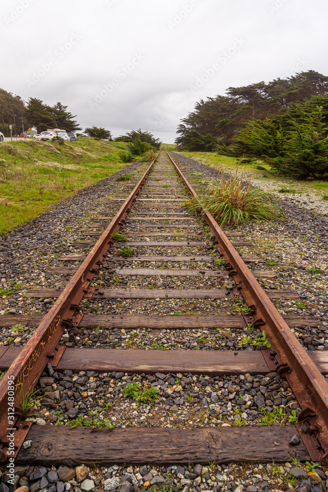 Obraz premium The track