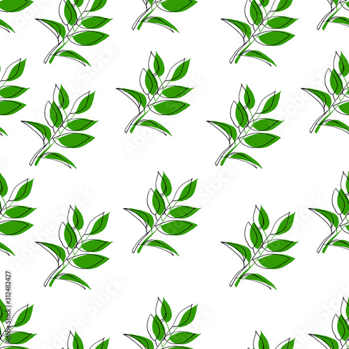 Hand drawn vector olive branch. Vector plant, isolated on white background. Branch of the olive tree, orange, lemon, flower. Seamless pattern for textile, packaging and cosmetics design.