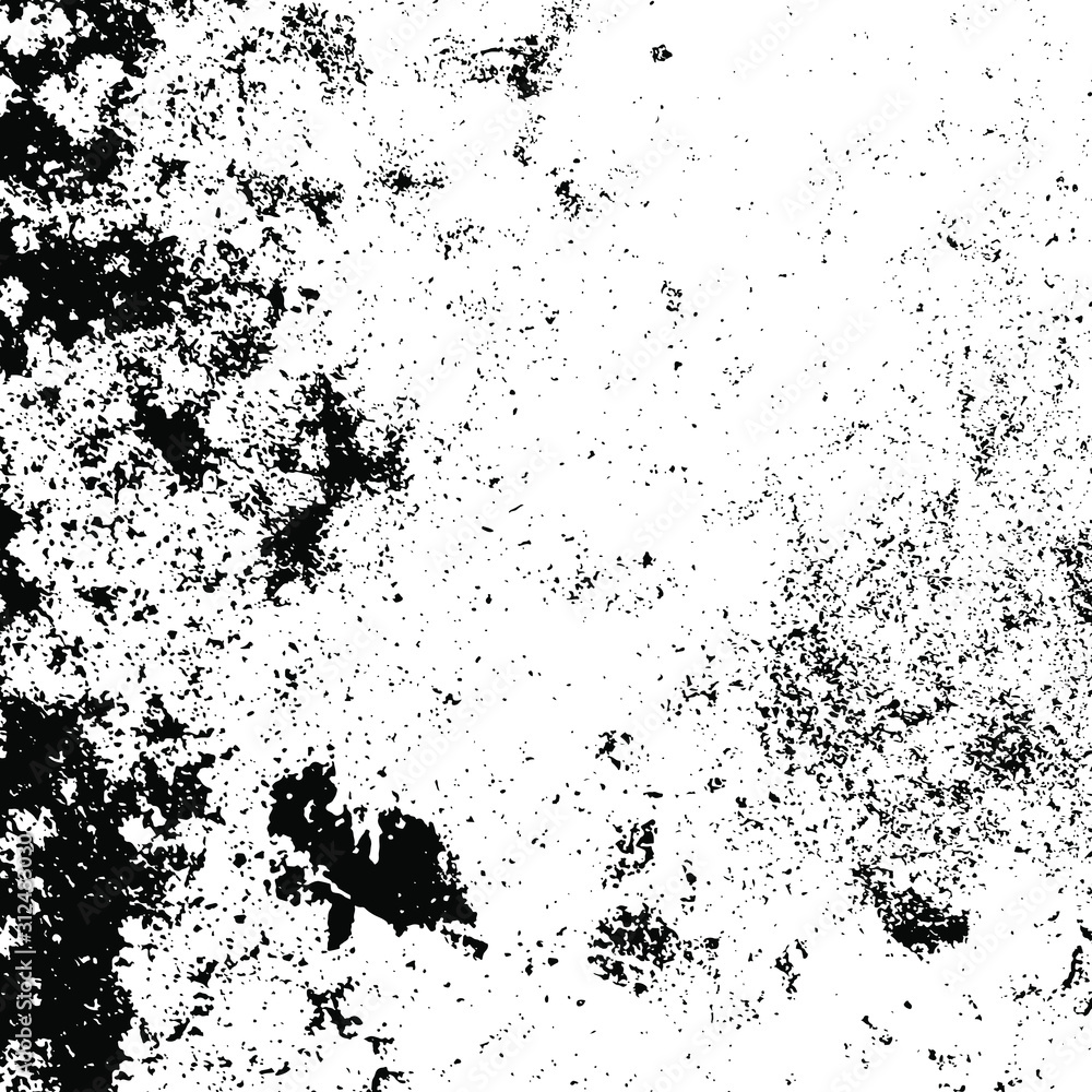 Fototapeta premium Vector grunge texture. Black and white abstract background. Eps10