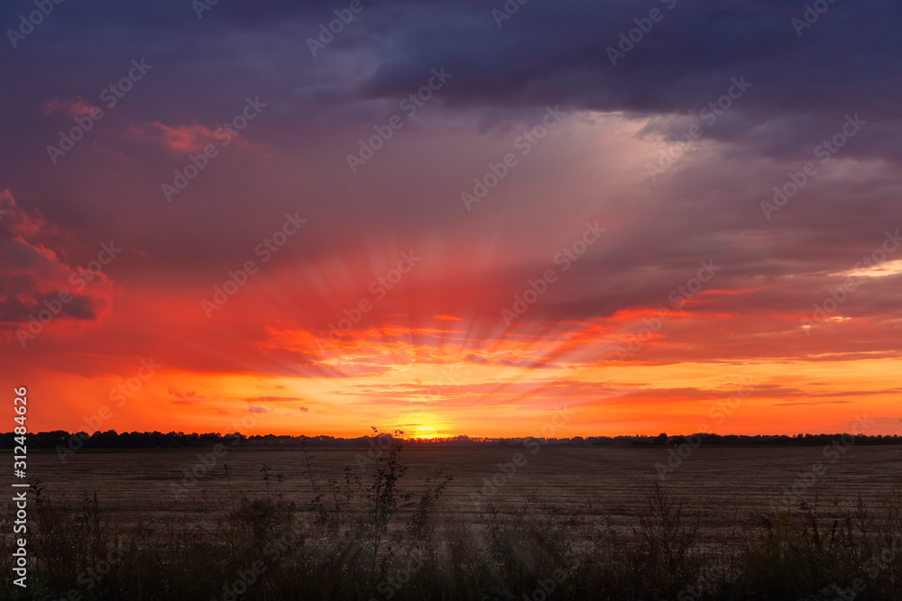 Background of the sky with cumulus clouds at sunset Background of the sky with cumulus clouds at sunset