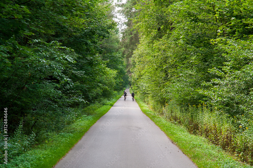 People are cycling on a path through the forest. Healthy lifestyle concept.