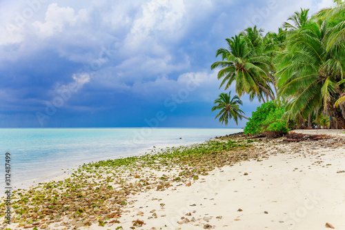 Palm  Water and Beach View on Maldive Coast