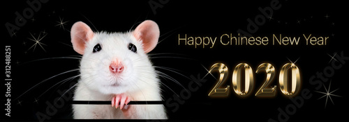 Happy new year 2020. Chinese year of the rat. White rat with black background. Text in gold representing metal, riches, fortune and prosperity.