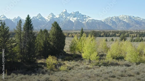 Aerial flying over forest, yellow autumn trees, grassland and mountains of Grand Teton National Park. Wyoming, USA