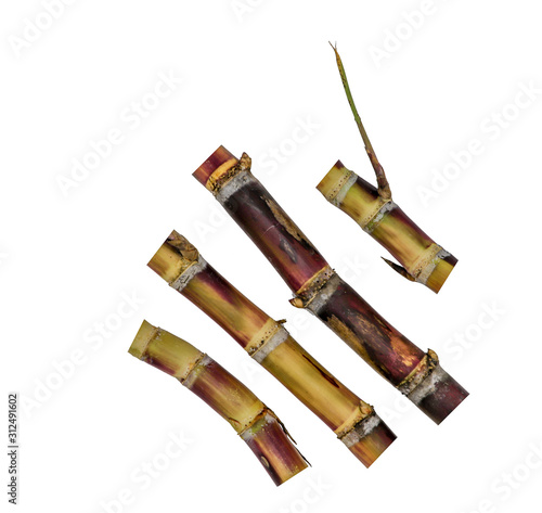 Close up of sugarcane isolated on white background