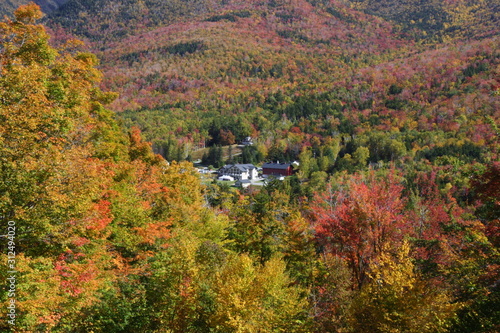 Fall Faliage in New England photo