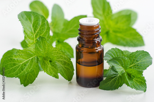 Small bottle with essential spearmint oil. Fresh mint leaves close up. Aromatherapy, spa and herbal medicine ingredients. Copy space 