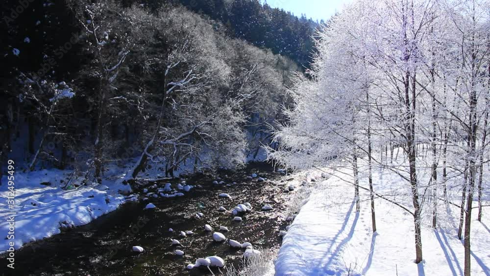 霧氷 冬の雪景色 森林 霧氷 冬の雪景色 森林