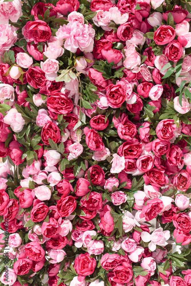 A hedge of roses for the background. Floral wall decor of pink rose inflorescences A hedge of roses for the background. Floral wall decor of pink rose inflorescences