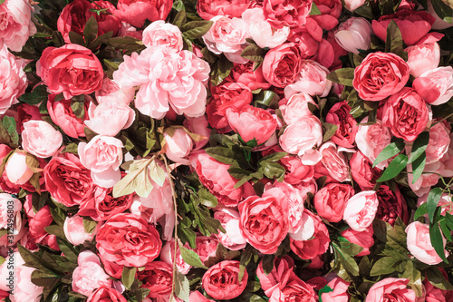 A hedge of roses for the background. Floral wall decor of pink rose inflorescences
