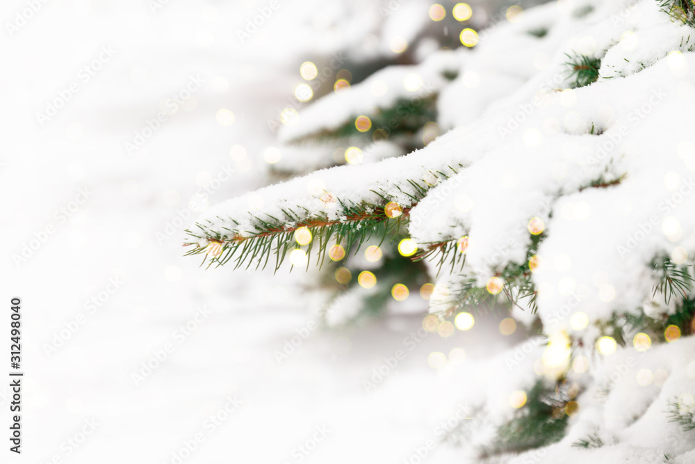Winter Christmas holiday background with fresh Christmas tree decorated with golden light garland Winter Christmas holiday background with fresh Christmas tree decorated with golden light garland