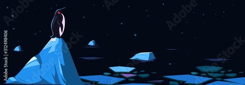 Arctic night. Northen landscape with icebergs and penguin. Vector illustration