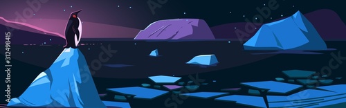 Arctic night. Northen landscape with icebergs and penguin. Vector illustration © aksol