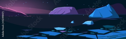 Arctic night. Northen landscape with icebergs and penguin. Vector illustration