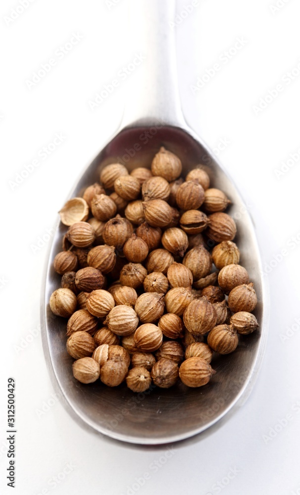 Mustard grains on spoon - studio shot