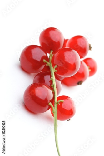 Close up of red currants